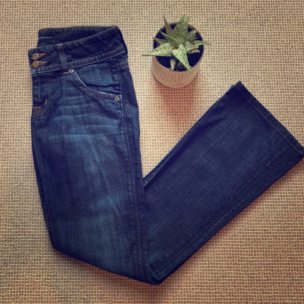 Hudson Bootcut Jeans 26